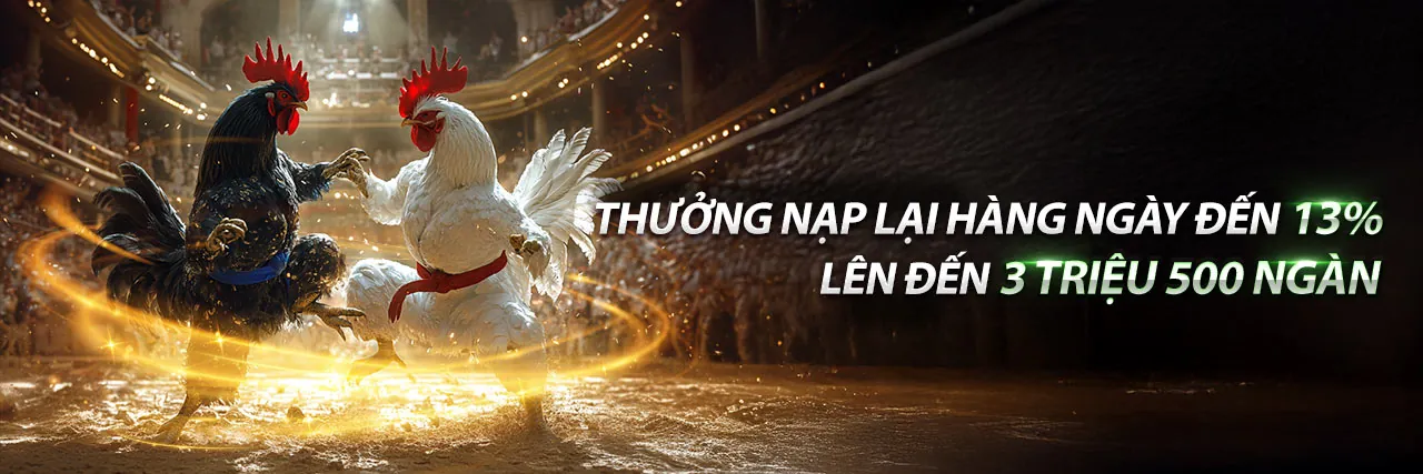 Đá Gà Trực Tuyến WY88